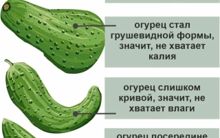 Вешние Воды