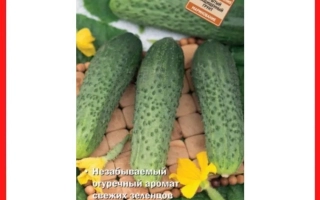 Вкус Детства