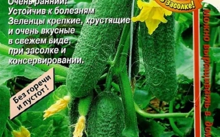 Seed packet of cucumber variety Vnuchenka featuring green cucumbers and EURO brand logo