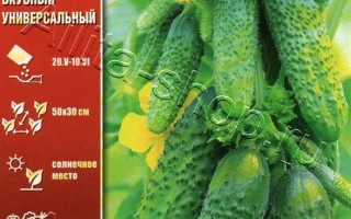 ВСЕ Порядку