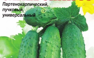 Заневский