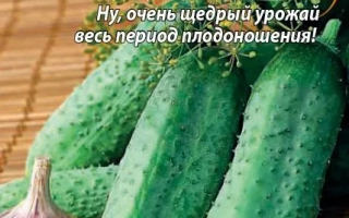 Зелёный Десант