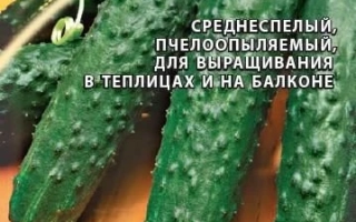 Зелений Крокодил