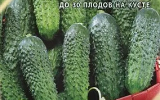 Зелений Потік