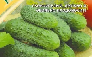 Зеленый Спецназ