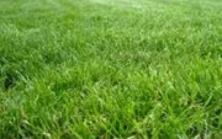 КАЗАЧИНСКАЯ 182