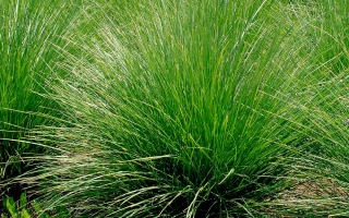 КРАСНОДАРСКАЯ 50