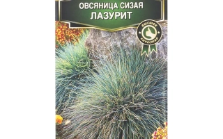 ЛОБНЕНСКАЯ 24