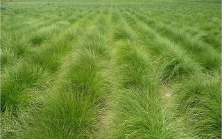 МОРШАНСКАЯ 4