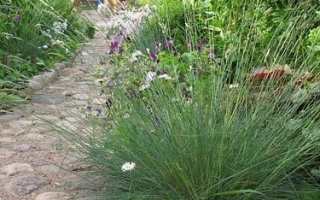 Павловская