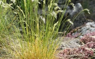 Суйдинская