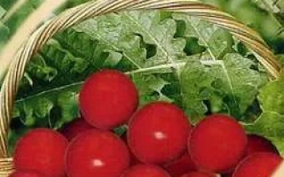 Пакет семян томата Триумфатор с изображением красных помидоров