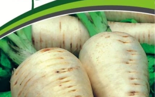 Пакет семян пастернака с надписью «ЛУЧШИЙ ИЗ ВСЕХ»