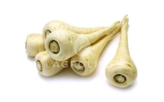 Свежий пастернак на белом фоне - ЖЕМЧУГ