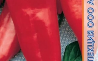 Красный перец сорта Аристократ на упаковке семян