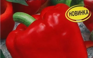 Богатырское Здоровье