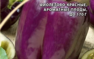 Будь Здоров