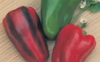 Центурион F1