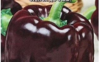 Чернобровка