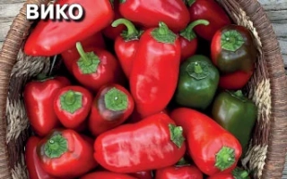 Черрико Вико