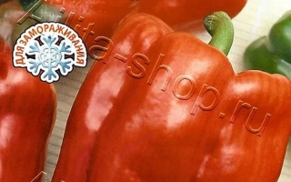 Чудо Великан