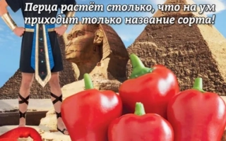 Египетская Сила