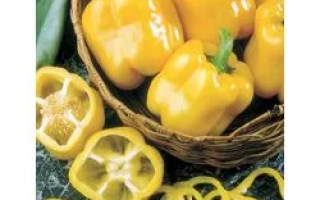 Эрли Сансейшн X3R F1