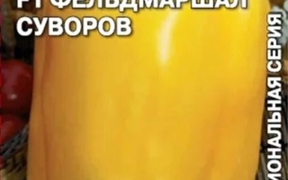 Фельдмаршал Суворов