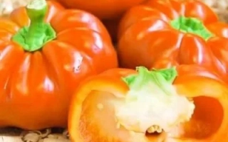 ФОН Барон Оранжевый