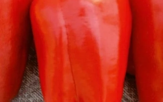 Генеральский