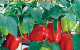 Гранатовый Браслет