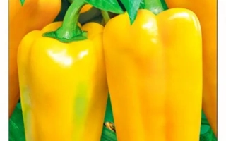 Хитрая Лиса