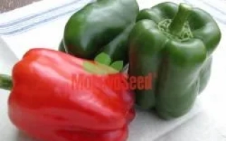 Калифорнийське Диво