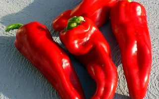 Красные перцы КИРИН на сером фоне