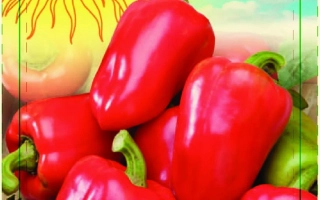 Пакет семян перца КЛАССИКА с изображением красных плодов и солнцем