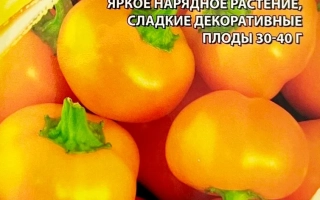 Конфетка Оранжевая
