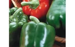 Король Артур F1