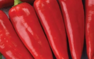 Красный МЕЧ