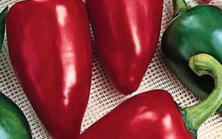 Красный НОС