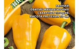 Лисичка Желтая