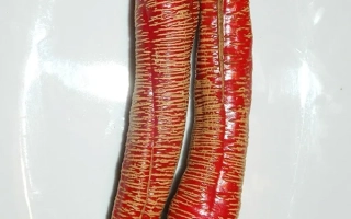 Македонский