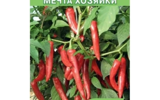 Мечта Хозяйки