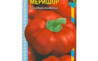 Меришор