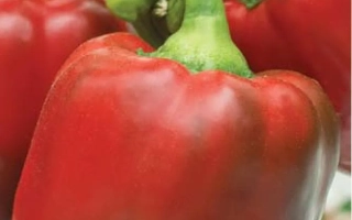 Монтэ-Кристо