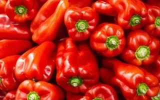 Крупный план красных сладких перцев сорта Морозко