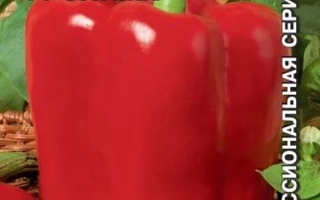 Красный перец сорта Олимп на упаковке семян