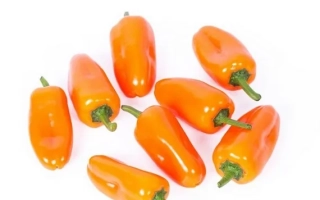 Оранж Тарта