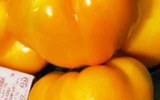 Оранжевый Юбилейный