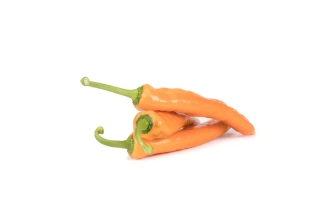 Палермо Оксалис