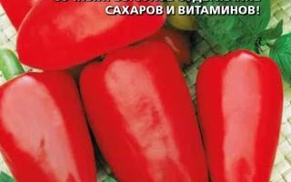 Первая Любовь